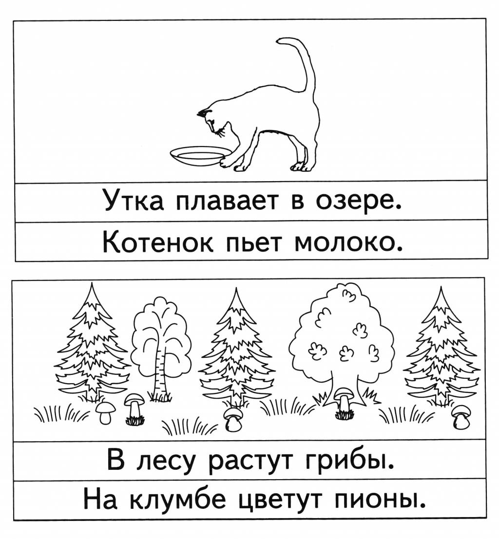 Прочитай предложения