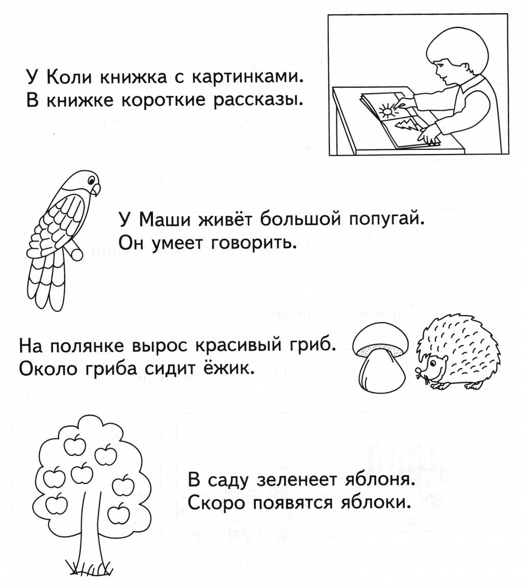 Прочитай предложения